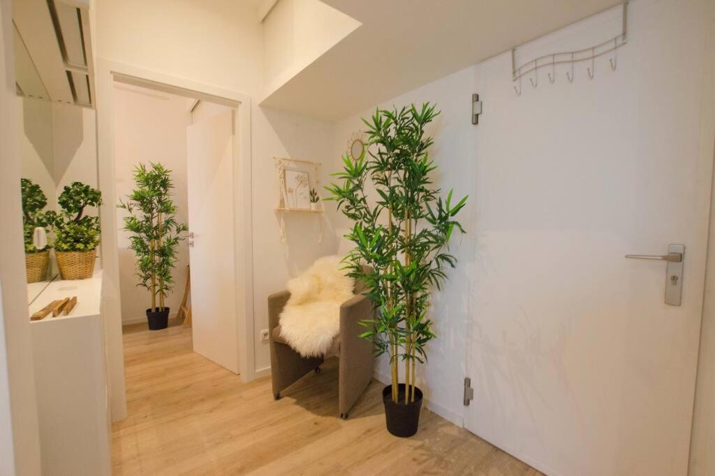 Casarina - Gemuetliches Apartment Im Zentrum Augsburg Dış mekan fotoğraf