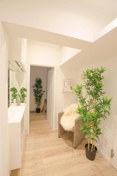 Casarina - Gemuetliches Apartment Im Zentrum Augsburg Dış mekan fotoğraf